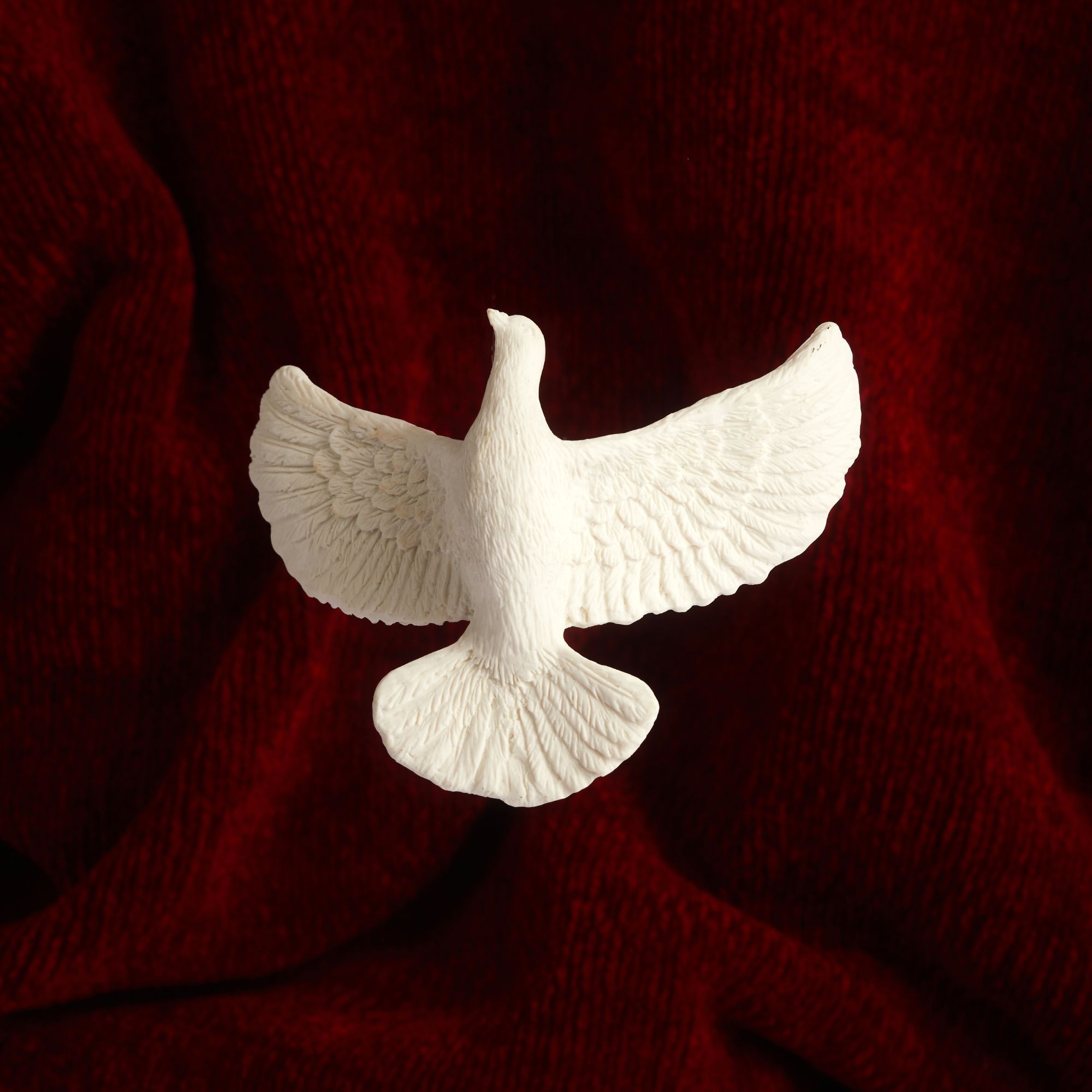 Une colombe, symbole de l'Esprit-Saint, sur un fond rouge
